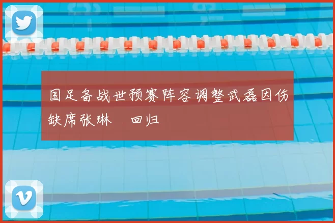 国足备战世预赛阵容调整武磊因伤缺席张琳芃回归