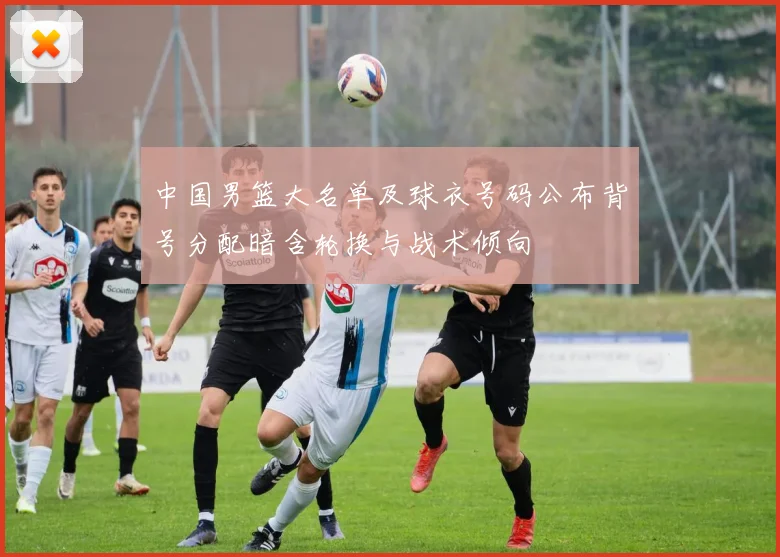 中国男篮大名单及球衣号码公布背号分配暗含轮换与战术倾向